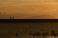 /album/photo-gallery-silhouette/a2-6-jpg1/